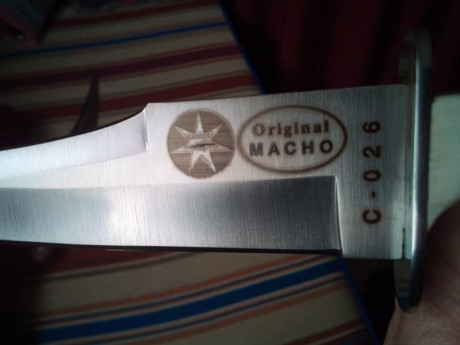 Buenas tardes, compañeros, aprovechando este encierro forzoso para todos, os presento a mis Macho Riojano.

Hace 50