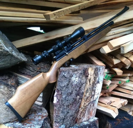 Alguien tiene algo de informacion sobre la carabina CR600W?
Creo que es de Co2, pero en la pagina de SPAirguns 90