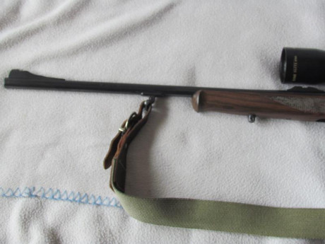 Vendo monotiro marca Brno Effect en calibre 7x57R, equipado con monturas appel y visor bushnell elite 00