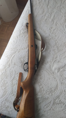 hola un amigo vende un rifle santa barbara calibre 308w modelo C-75 lleva bases apel originales y 60 cms 00