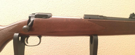 Vendo rifle segunda mano marca  SAVAGE MODELO 110 
 Cerrojo.
 Calibre 30.06.
 Made in usa.
 Muy pocos 00