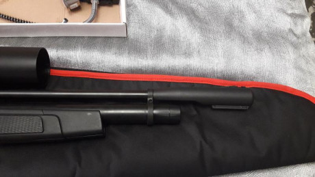 Vendo esta carabina pcp gamo coyote del 5.5  con visor  leapers 6  24 x 50   bomba de carga , funda gamo 12