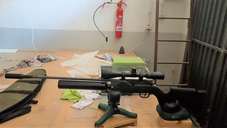 Bueno, para animar el foro un poco, propongo colgar fotos de dianas y arma usada para ello, pudiendo ser 110