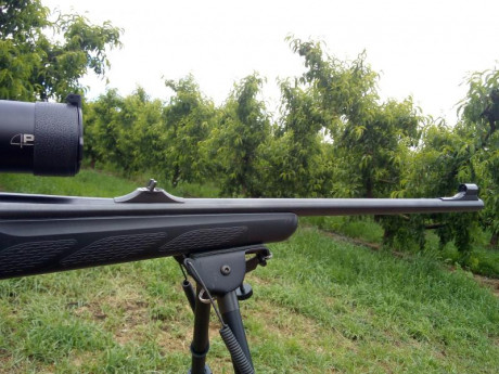 Rifle perfecto una 11