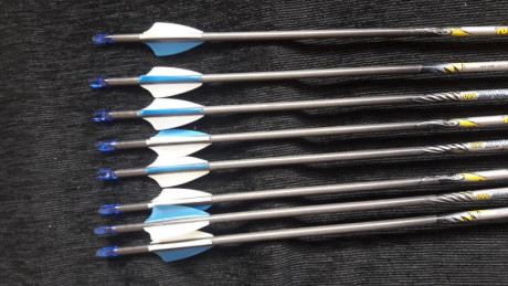 Vendo 8 flechas easton carbón one calibre 660 con puntas de 120 graims y 26 pulgadas en total de longitud 02