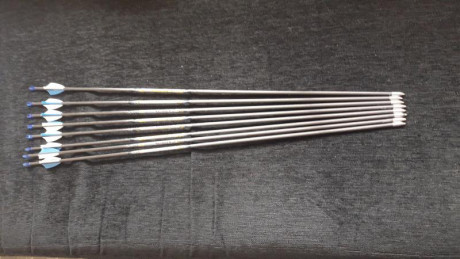 Vendo 8 flechas easton carbón one calibre 660 con puntas de 120 graims y 26 pulgadas en total de longitud 00