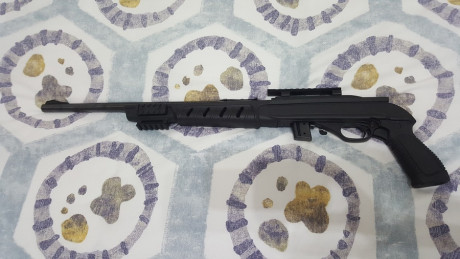  ***RETIRADA DE LA VENTA*** 

Vendo carabina Marlín 795 del cal. 22 LR., con riel picatinny para poder 102