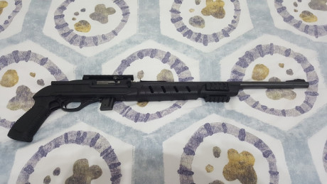 ***RETIRADA DE LA VENTA*** 

Vendo carabina Marlín 795 del cal. 22 LR., con riel picatinny para poder 101