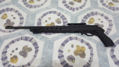  ***RETIRADA DE LA VENTA*** 

Vendo carabina Marlín 795 del cal. 22 LR., con riel picatinny para poder 100