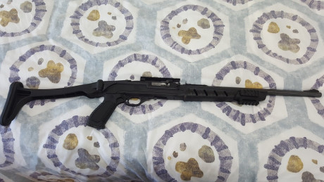  ***RETIRADA DE LA VENTA*** 

Vendo carabina Marlín 795 del cal. 22 LR., con riel picatinny para poder 112