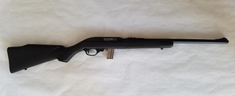  ***RETIRADA DE LA VENTA*** 

Vendo carabina Marlín 795 del cal. 22 LR., con riel picatinny para poder 110