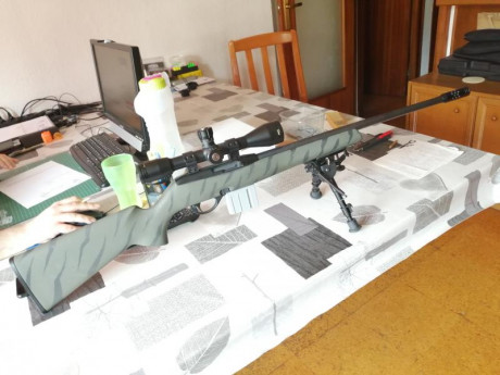 Hola,saco este nuevo tema,pues como yo,muchos de vosotros,amantes de las armas de corte tactico del 22,customizais,vestis,adornais 111