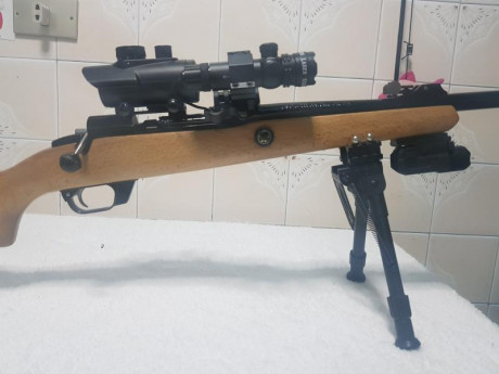   Carabina co2 modelo 286 rifle cerrojo co2 de balines calibre 4.5/177   Hola a todos,os presento mi trabajo 11