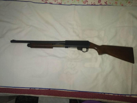 Vendo esta magnífica Escopeta policial, Franchi mod. SPS 350. Miras metálicas y capacidad 4+1
Esta en 01