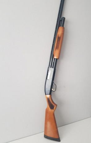  -Marca: Mossberg.
-Modelo: 500A 
-Estado: usada, en buen estado, 8/10.
-Calibre: 12.
-Modo disparo: corredera.
-Capacidad: 00