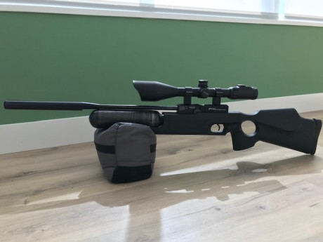 Pongo a la venta carabina Fx Royale 400 calibre 5,5. Es la versión de culata sintética y con botella de 02