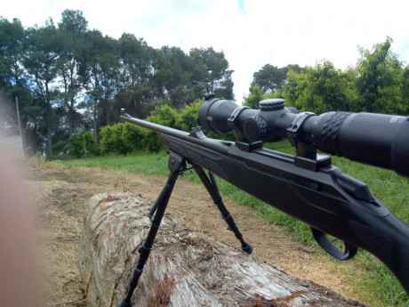 Rifle perfecto una 150