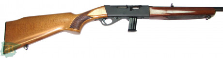 Hola a todos.

 Vendo 1 Cargador Anschütz de 10 balas. del calibre 22 Lr. 

Válido para las carabinas 01