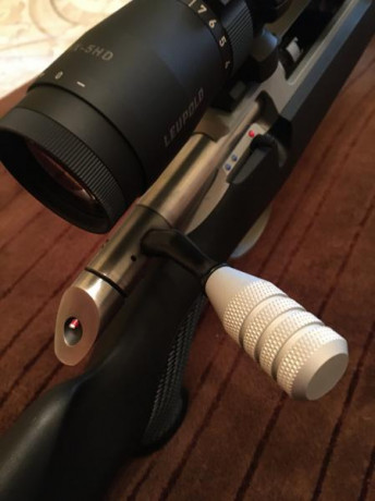 Hola a todos, a ver si alguien me puede aconsejar.
Tengo idea de hacerme con un cerrojo y el sauer 100 22