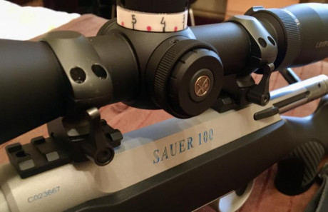 Hola a todos, a ver si alguien me puede aconsejar.
Tengo idea de hacerme con un cerrojo y el sauer 100 21