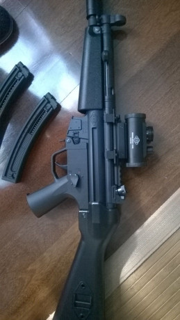 Se vende carabina GSG 5 del Cal.22 por falta de uso
Con dos cargadores, carril y en caja original.
Esta 00
