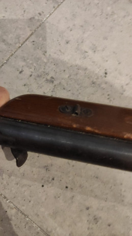 hola chavales, tengo un amigo que ha encontrado una vieja carabina que compro su padre hace 1000 años, 21