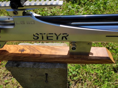 Por cambio de proyecto vendo mi Steyr LG 110 FT preparada a capricho para competir en serio en field target, 01