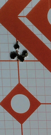 ¿Nos animamos a mostrar blancos de nuestros rifles de caza habituales? Con la munición que habitualmente 12