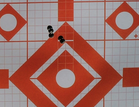 ¿Nos animamos a mostrar blancos de nuestros rifles de caza habituales? Con la munición que habitualmente 10
