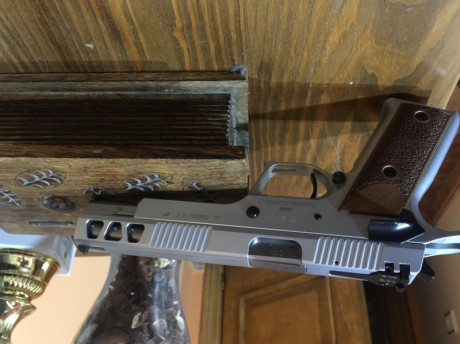 Hola, quiero comprar una 9mm para precision y de las unicas armas que me han hablado es de una Paraordenance 10