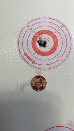 Vendo carabina PCP de la marca inglesa BSA, modelo R-10 MK2. Tiene recien puesta la vàlvula reguladora 21