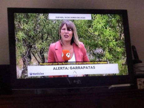 Hola, existe algún remedio casero para echarse antes de manipular algún animal en el campo? Q sea efectivo 130