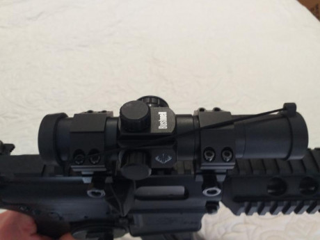 Se vende carabina en perfecto estado, incluye punto rojo Bushnell, bipode UTG, dos cargadores. Se entrega 01