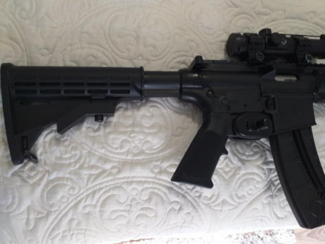 Se vende carabina en perfecto estado, incluye punto rojo Bushnell, bipode UTG, dos cargadores. Se entrega 12