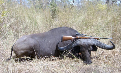 RETIRADO VENTA, Rifle Winchester 70 Safari Express con acción Mauser 98 pre 64 en calibre 375 H&H, 60