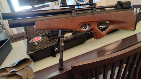 Buenas , vendo carabina Onix P10 en calibre 5.5. 
Por hacer hueco en el armero la pongo a la venta, 
Con 00