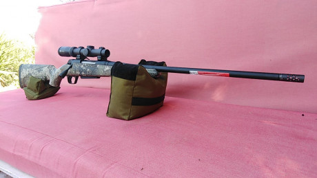 Hola, estoy mirando para poner un visor en un winchester xpr strata, y estoy dudando entre un shilba gold 10
