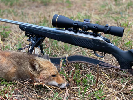 Hsce solo unos dias que  mi último rifle, el SAUER 100 CERATECH 6,5 CREEDMORE, junto con su LEUPOLD VXH5 40