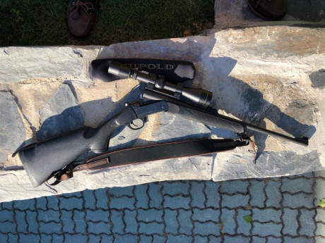 Buenas noches,

Busco monotiro con anillas y visor y a ser posible, calibre 270 o 308.

Zona de Sevilla 61