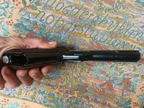 Por cese de actividad  mi padre vende
 Pistola Chiappa 1911 calibre  22  
Con su maletin y dos cargadores 10