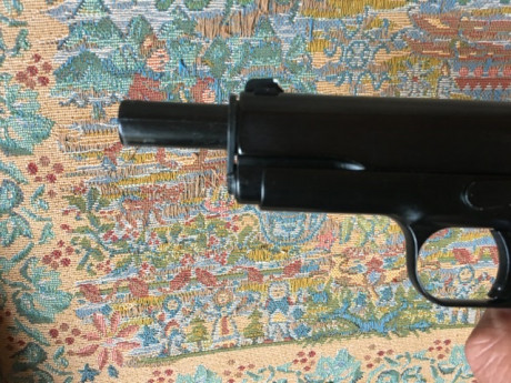 Por cese de actividad  mi padre vende
 Pistola Chiappa 1911 calibre  22  
Con su maletin y dos cargadores 20