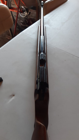 Carabina Anschutz 54. Se pone a la venta por 500 euros mas gastos a cuenta del comprador. Contacto José 30