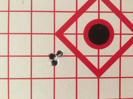 ¿Nos animamos a mostrar blancos de nuestros rifles de caza habituales? Con la munición que habitualmente 12