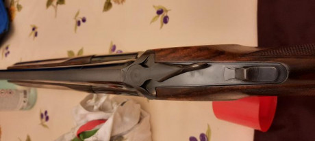 Hola
Pues eso. Que tengo la opción de hacerme a MUY BUEN PRECIO con una Kemen KM 4 cal. 20 con años, pero 91
