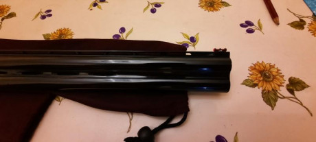 Hola
Pues eso. Que tengo la opción de hacerme a MUY BUEN PRECIO con una Kemen KM 4 cal. 20 con años, pero 112