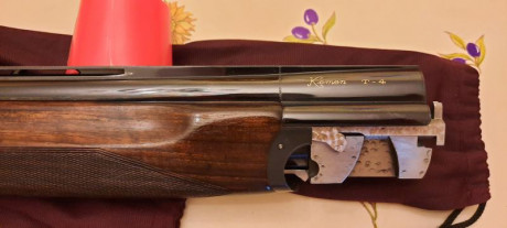 Hola
Pues eso. Que tengo la opción de hacerme a MUY BUEN PRECIO con una Kemen KM 4 cal. 20 con años, pero 110
