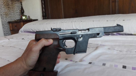 hola aqui os pongo las fotos de la walther gsp 22lr 01