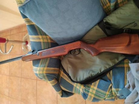 Hola, compro norica marvic gold en calibre 5.5 o 6.35 en perfecto estado y el modelo antiguo solo, la 11
