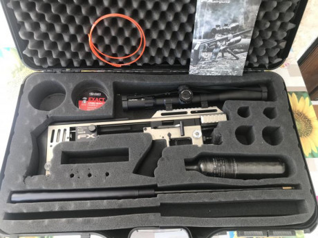 Vendo mi Fx Impact calibre 5,5 color plata en perfecto estado. Cañón de 60 cm cargador de 18 tiros , en 01