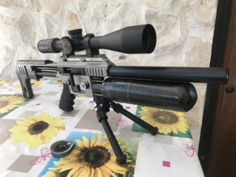 Vendo mi Fx Impact calibre 5,5 color plata en perfecto estado. Cañón de 60 cm cargador de 18 tiros , en 12